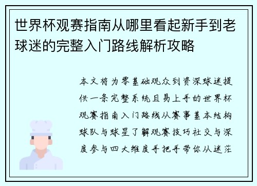 世界杯观赛指南从哪里看起新手到老球迷的完整入门路线解析攻略